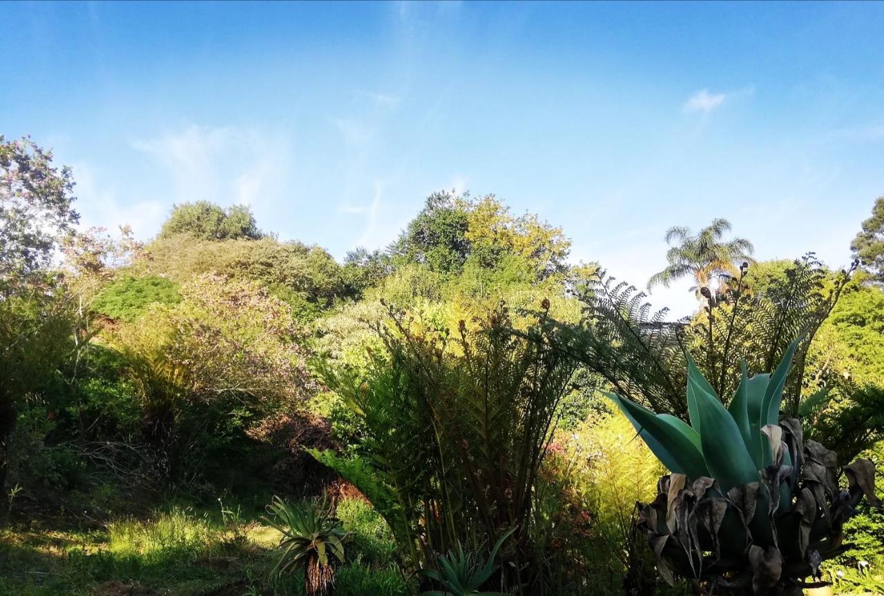 Chosen Glamping Tents Graskop Exterior photo