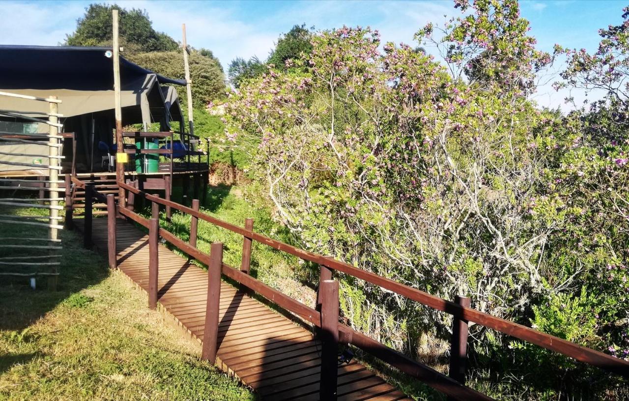 Chosen Glamping Tents Graskop Exterior photo