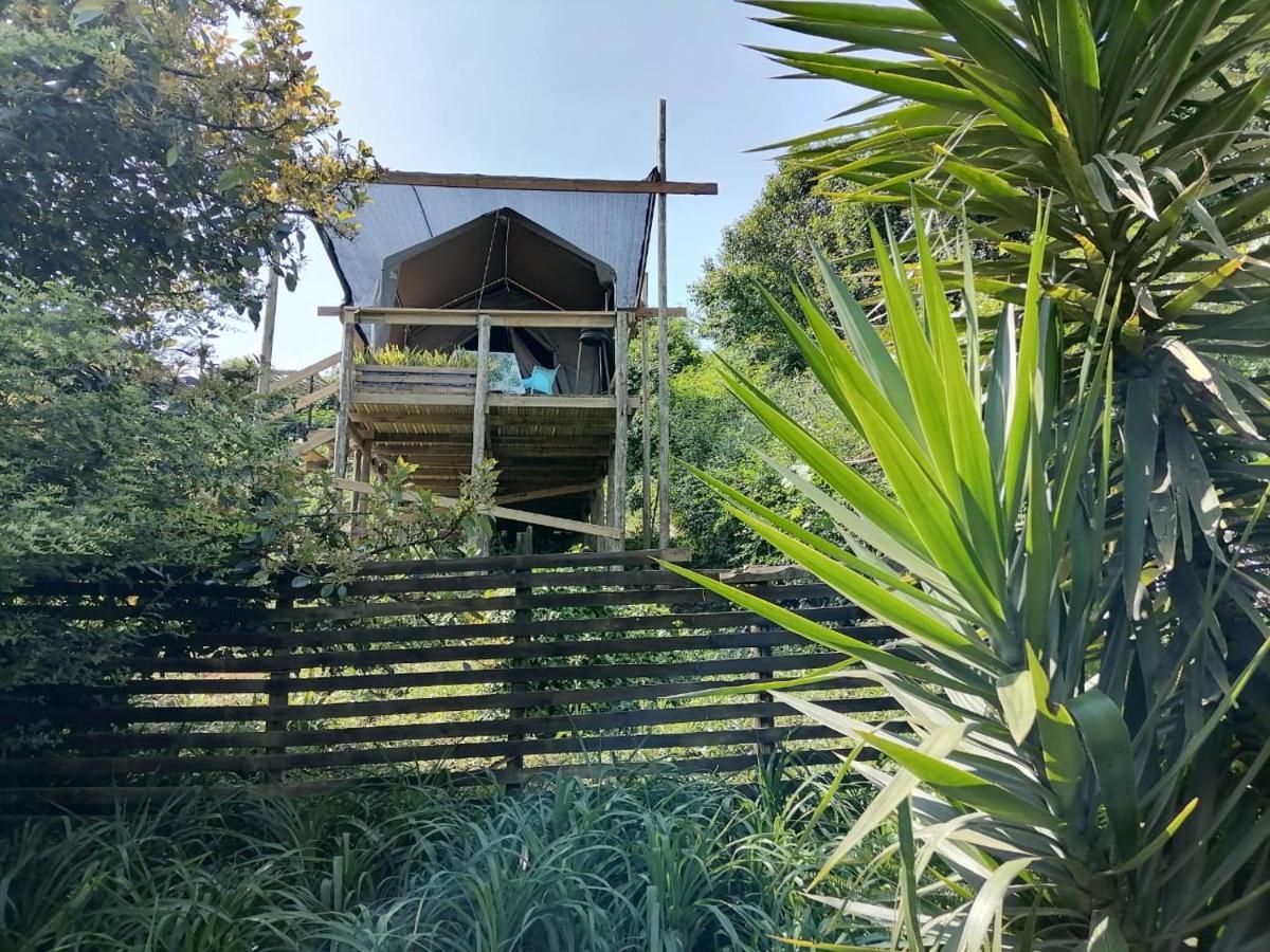 Chosen Glamping Tents Graskop Exterior photo